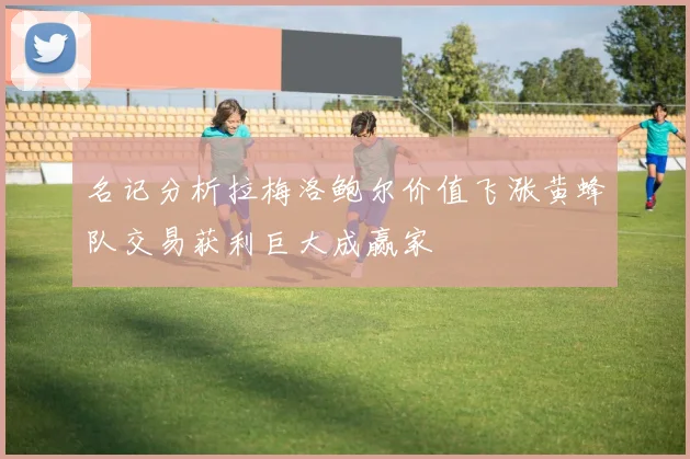 名记分析拉梅洛鲍尔价值飞涨黄蜂队交易获利巨大成赢家